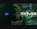 ティアキン #9  地底人をウツシエに2 ポプラー高地鳥望台 ゼルダの伝説 ティアーズ オブ ザ キングダム