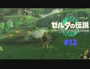 ティアキン #12 ハテノ村へ ゼルダの伝説 ティアーズ オブ ザ キングダム