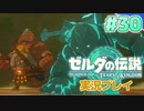 【実況】大空を翔る。ゼルダの伝説ティアーズオブザキングダム 実況プレイ！Part30【ゼルダの伝説TotK】