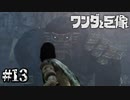 熱い睨み合いが繰り広げられている！！【ワンダと巨像】#13