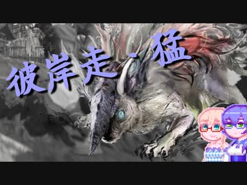 【WildHearts】わいるどまーくつー14