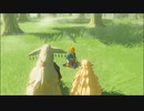 【ゼルダの伝説 ティアーズ オブ ザ キングダム】再びハイラルを救うまで【実況】 part23