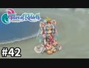 #42【テイルズオブリバース】目指せシリーズ制覇！君が生まれ変わるRPG、TORを完全初見で楽しむ！！【TALES OF REBIRTH】【実況】