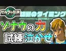 【ゼルダの伝説TOTK】あまりにも試練泣かせが過ぎるゾナウの力【ティアキン】#36