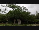 かすみがうらうら#12夏の桜と紫陽花