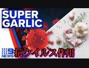 抗ウイルス性: オーストラリア産ニンニクは新型コロナウイルスやインフルエンザに非常に効果的