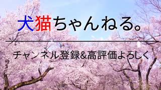 【ネタ】ハエ太郎ぐいーん