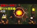 【ゆっくり実況】初めてのブレワイ無双！part30【ゼルダ無双】