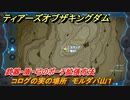ティアキン　コログの実の場所　モルダバ山１　武器・盾・弓のポーチ拡張方法　＃９４１　【ゼルダの伝説ティアーズオブザキングダム】