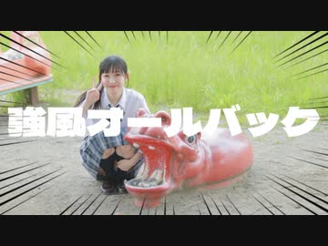 【かずは】強風オールバック 踊ってみた？【してみた】