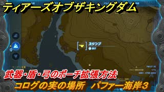 ティアキン　コログの実の場所　パファー海岸３　武器・盾・弓のポーチ拡張方法　＃９５４　【ゼルダの伝説ティアーズオブザキングダム】