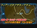 ティアキン　コログの実の場所　アミメ台地２　武器・盾・弓のポーチ拡張方法　＃９５９　【ゼルダの伝説ティアーズオブザキングダム】