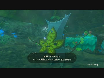 【実況】愛に生きるゼルダの伝説 ティアーズ オブ ザ キングダム part34