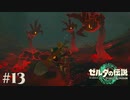 【ゼルダの伝説 Tears of the Kingdom】なんだおまえくぁｗせｄｒｆｔｇｙふじこｌｐ【実況】#13