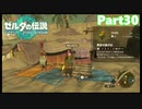 【30】ぼっち勇者の天空探検【ゼルダの伝説ティアーズオブザキングダム】