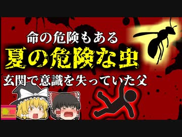 【2016年】帰宅すると玄関で顔をパンパンに腫らし意識を失っていた父 …娘の外出中に一体何が？夏に注意しなければいけない"恐ろしい虫"【ゆっくり解説】