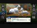 アウトブリード配合のみで凱旋門賞を目指す　4