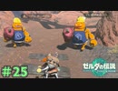 セールスマンの圧が怖すぎる　「ゼルダの伝説～ティアーズ・オブ・ザ・キングダム」　＃25