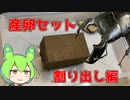 【クワガタ飼育】スマトラオオヒラタ飼育記＃2