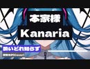 酔いどれ知らず/初音ミク(Cover)