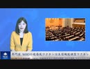 専門家　WHO破傷風ワクチンは生殖機能調整ワクチンと明かす