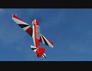 Yak-52 IAC Sportsman Class 2022 Traning