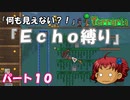 [Terraria]　『Ｅｃｈｏ縛り』パート１０　[ゆっくり実況]