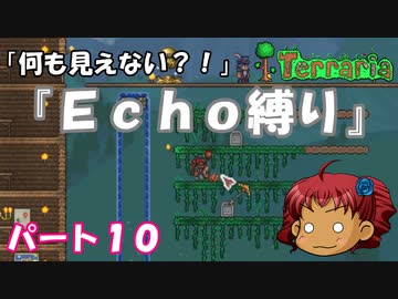 [Terraria]　『Ｅｃｈｏ縛り』パート１０　[ゆっくり実況]