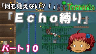 [Terraria]　『Ｅｃｈｏ縛り』パート１０　[ゆっくり実況]