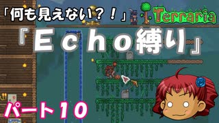 [Terraria]　『Ｅｃｈｏ縛り』パート１０　[ゆっくり実況]