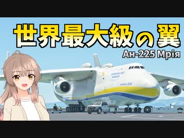 世界最大は無敵のステータスちゃうぞ！【MSFS】