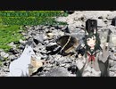 【VOICEROID怪談】諸国百物語　第伍拾捌話『伊賀の国名張にて狸老母にばけし事』【古典怪談】