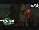 【ティアキン】こ、この男は…‼【ゼルダの伝説 ティアーズ オブ キングダム】実況プレイ part34