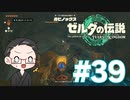 【実況プレイ】 ゼルダの伝説 ティアーズオブザキングダム part39 【いちご大福】