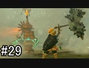 【実況】空の島から始まる新たな冒険【ゼルダの伝説 ティアーズ オブ ザ キングダム】part29