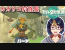 【ゼルダの伝説TotK Part13】パーヤとの再会　※ネタバレあり　【#ゼルダの伝説/#ゼルダの伝説ティアーズオブザキングダム/#ゲーム実況/#初見実況/#VTuber】