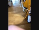 メジャーリーグのフォーシームとか、ツーシームとか？どんな意味だ？いろいろ調べてみると興味尽きないね。面白い