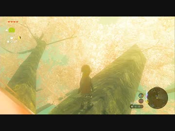 【実況】愛に生きるゼルダの伝説 ティアーズ オブ ザ キングダム part35