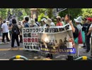 【コロナワクチン被害者慰霊デモ】 主催:日本と子どもの未来を考える会https://nikomikai.net/demorule