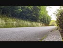 自転車に逃げられました