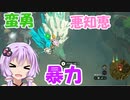 【ゼルダTOTK】蛮勇、悪知恵、暴力のトライフォースゆかり【VOICEROID実況プレイ】79