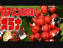 【ゆっくり解説】ガラナの栄養について解説！