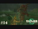 【ゼルダの伝説 Tears of the Kingdom】身体がおぼえてるたたかい【実況】#14