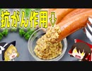 【ゆっくり解説】からしの栄養について解説！