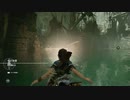 Shadow of the Tomb Raider　マックン＆パックン　07