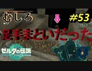 ちょっと弱すぎない？【TEARS OF THE KINGDOM】＃53