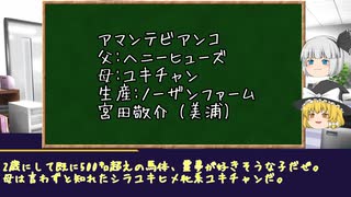 【ゆっくりPOG対決2023-2024】魔理沙指名馬紹介