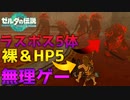【無理】5体のガノンにリンチされる男　Part 20【ゼルダの伝説ティアーズオブザキングダム】