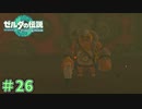 見てはいけない現場を発見！　「ゼルダの伝説～ティアーズ・オブ・ザ・キングダム」　＃26