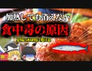 【2016年】社員食堂で提供された"猛毒ハンバーグ" 30人が地獄の苦しみを味わうことに 『ヒスタミン集団食中毒事件』【ゆっくり解説】